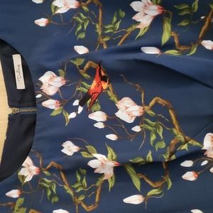 Anthropologie Darling Bird and Magnolia dress